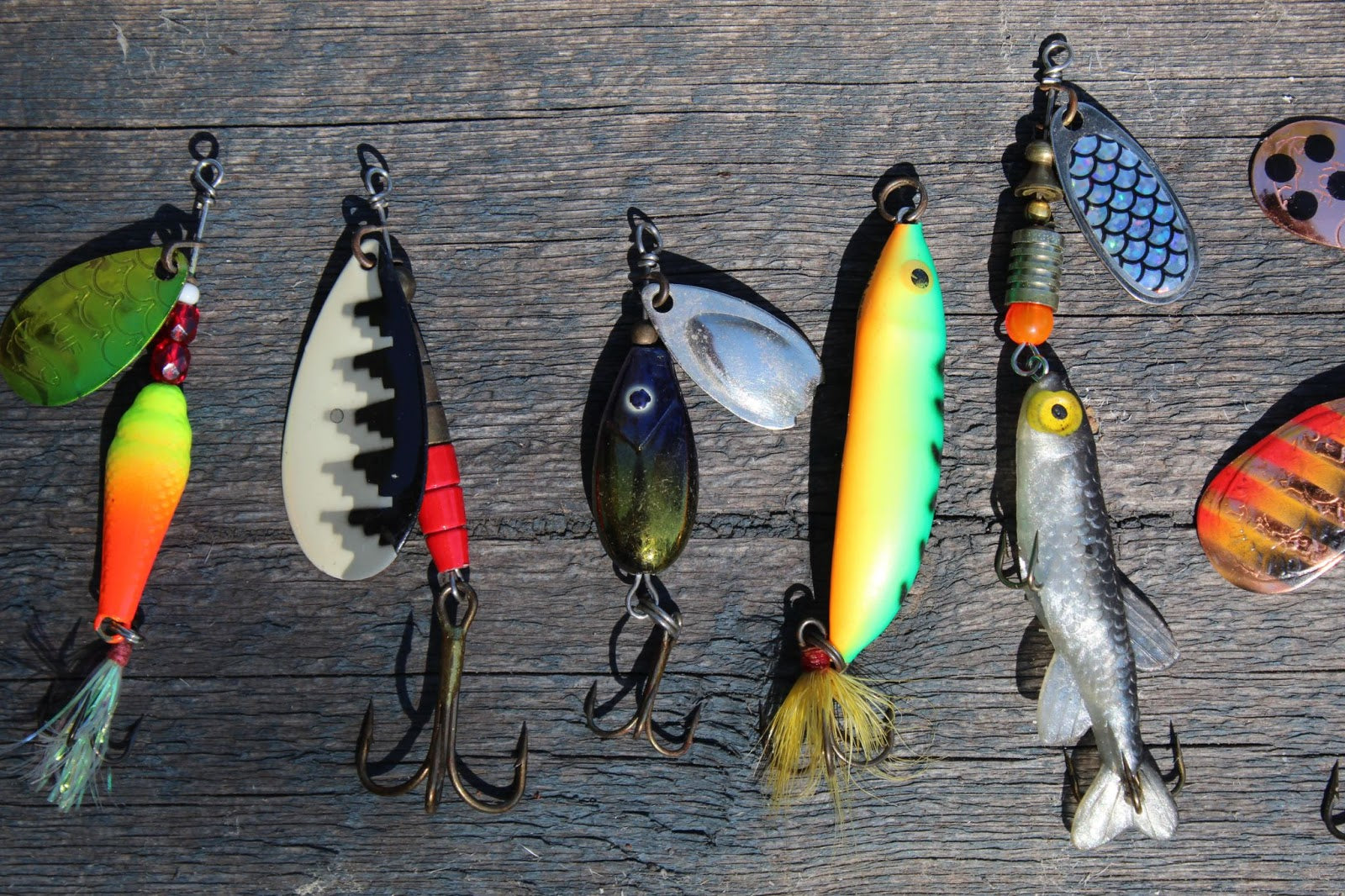 Explore the Different Types of Fishing Bait & How to Use Them