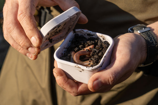 Using the Daggerfish Belt Box to carry live bait for fishing