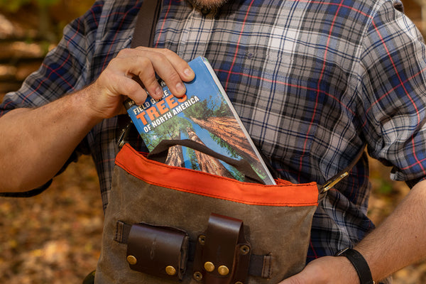 Carrying a field guide in a Daggerfish Field Bag with a foraging kit attached to the outside 